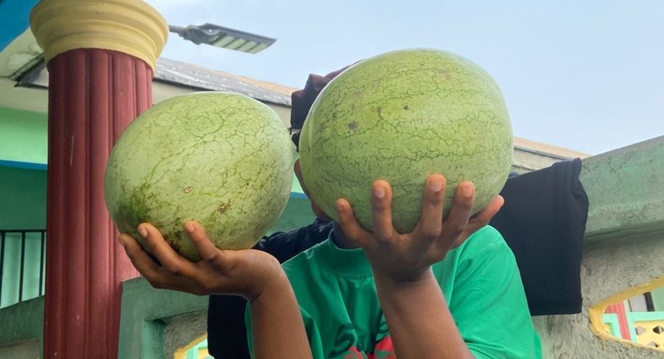 BIG MOON tweet media