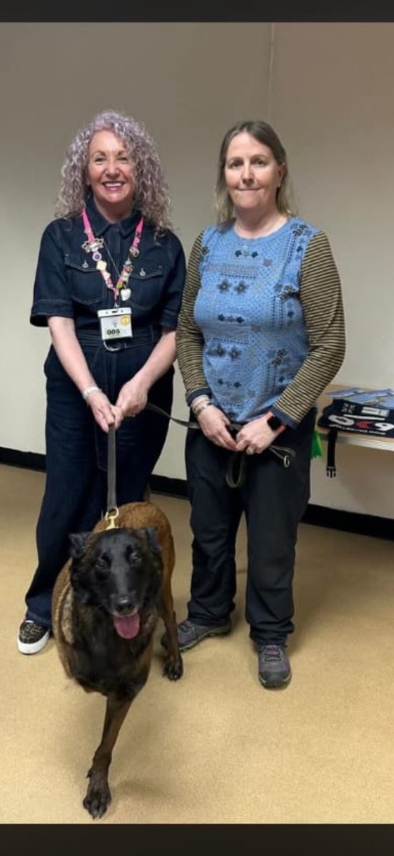 Chappers 🐾🐝 🙋‍♀️ tweet media