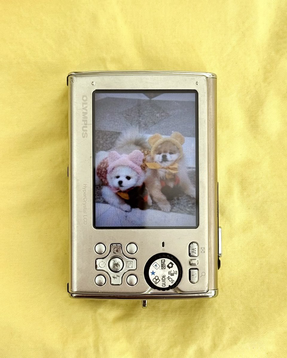 FUKO BRASIL | ThankYouFUKO tweet media