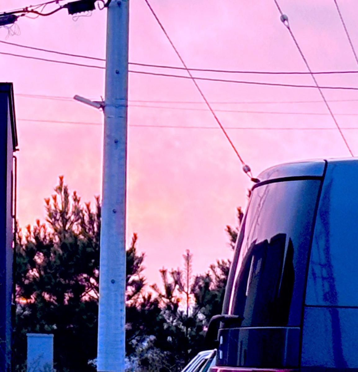 えみすけ tweet media