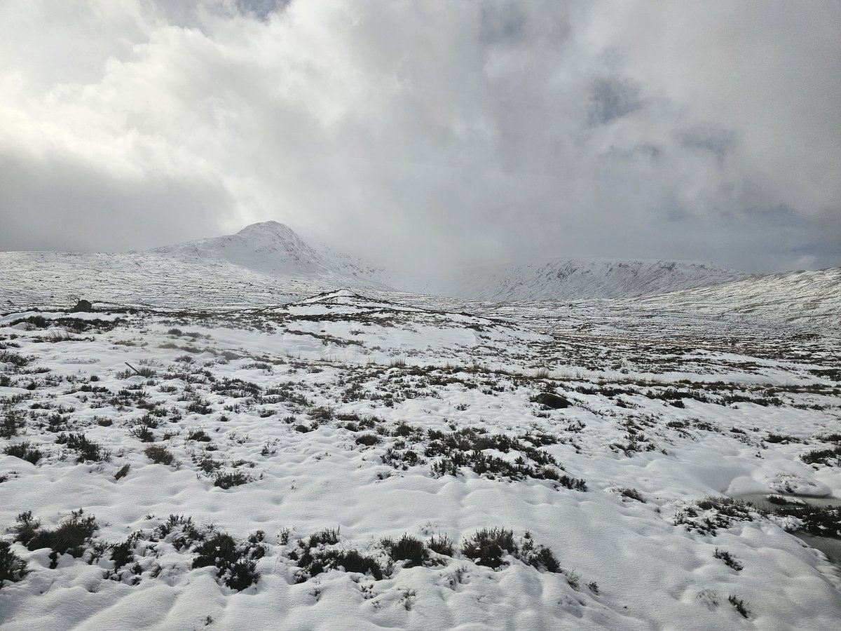 Matt Claypole tweet media