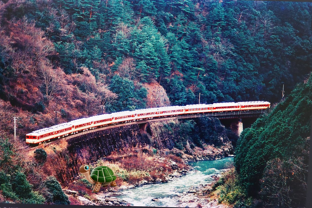 保津峡お立ち台からだと10両がギリギリでした😘
#長い編成の気動車が見たい