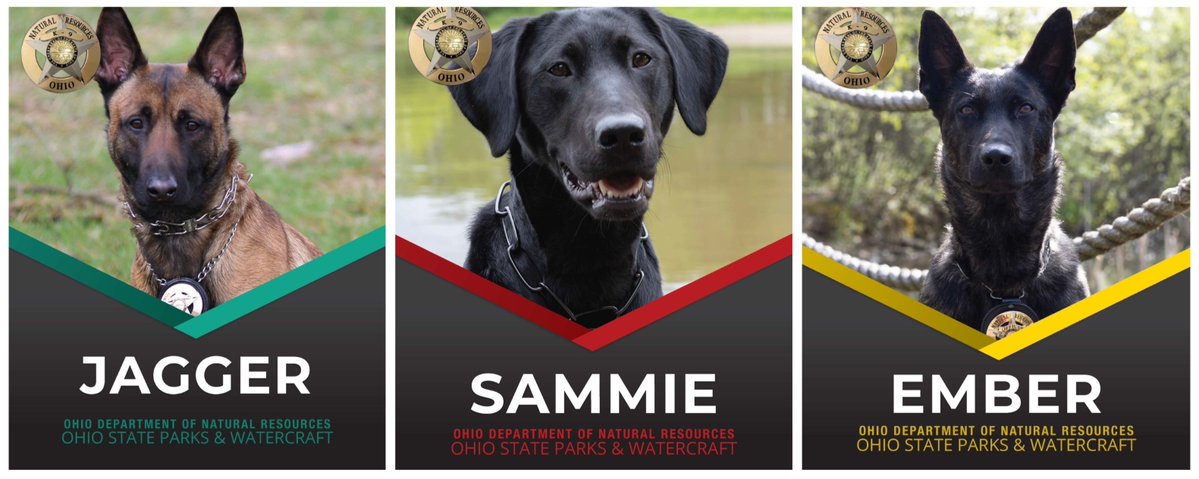 Ohio State Parks & Watercraft tweet media