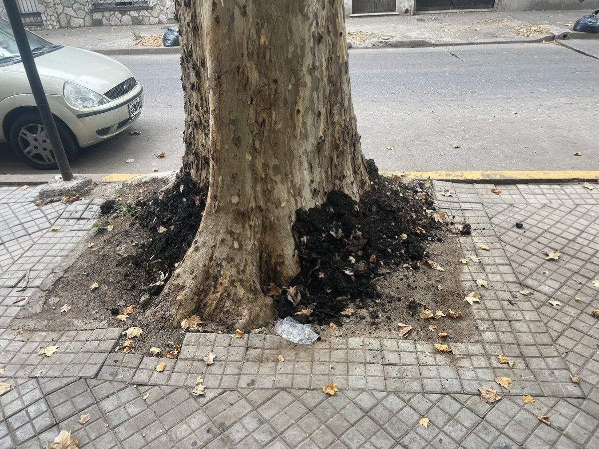 Macarena💕 tweet media