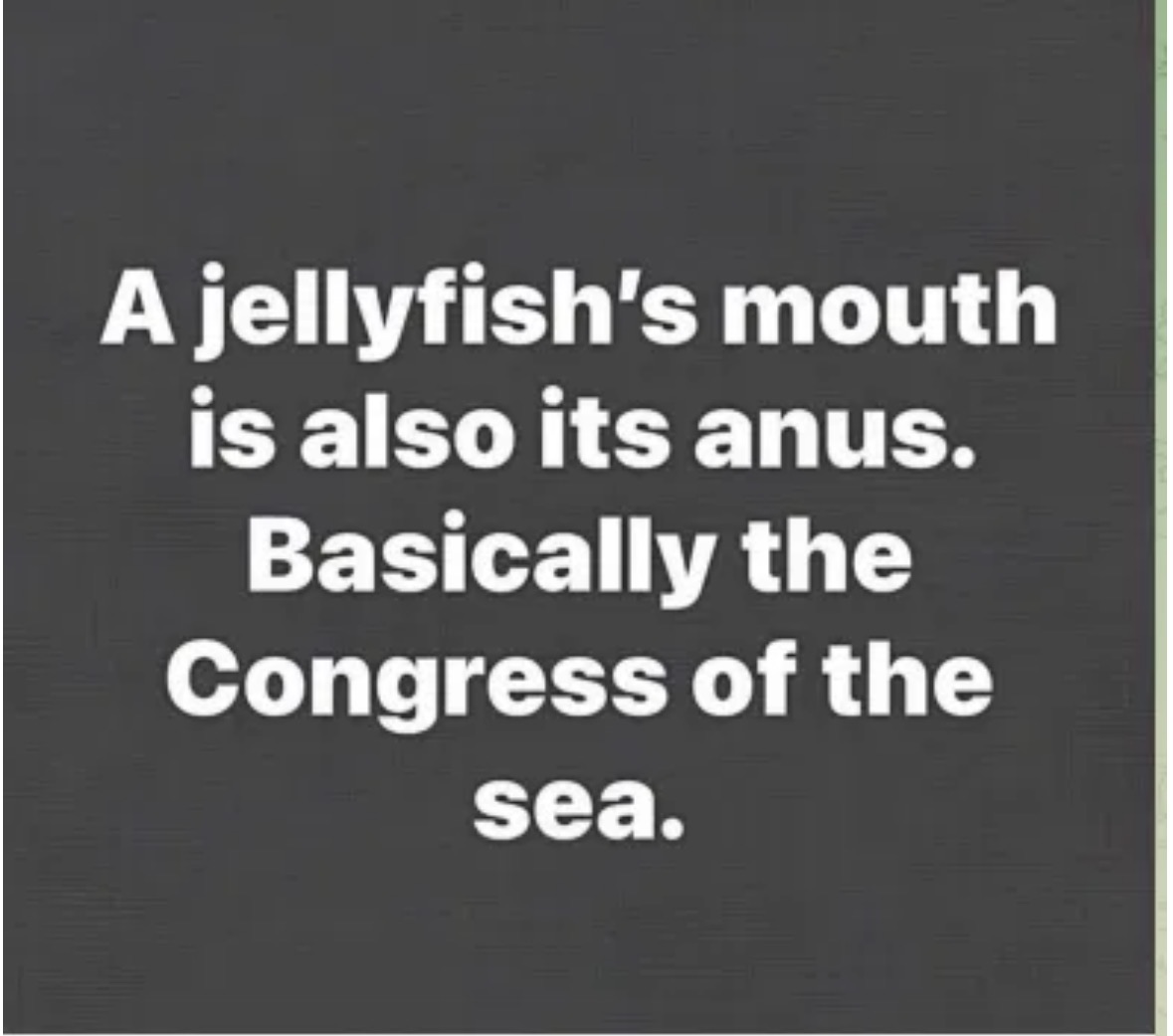 Al in NM tweet media