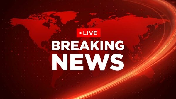 Dove🕊️ tweet media