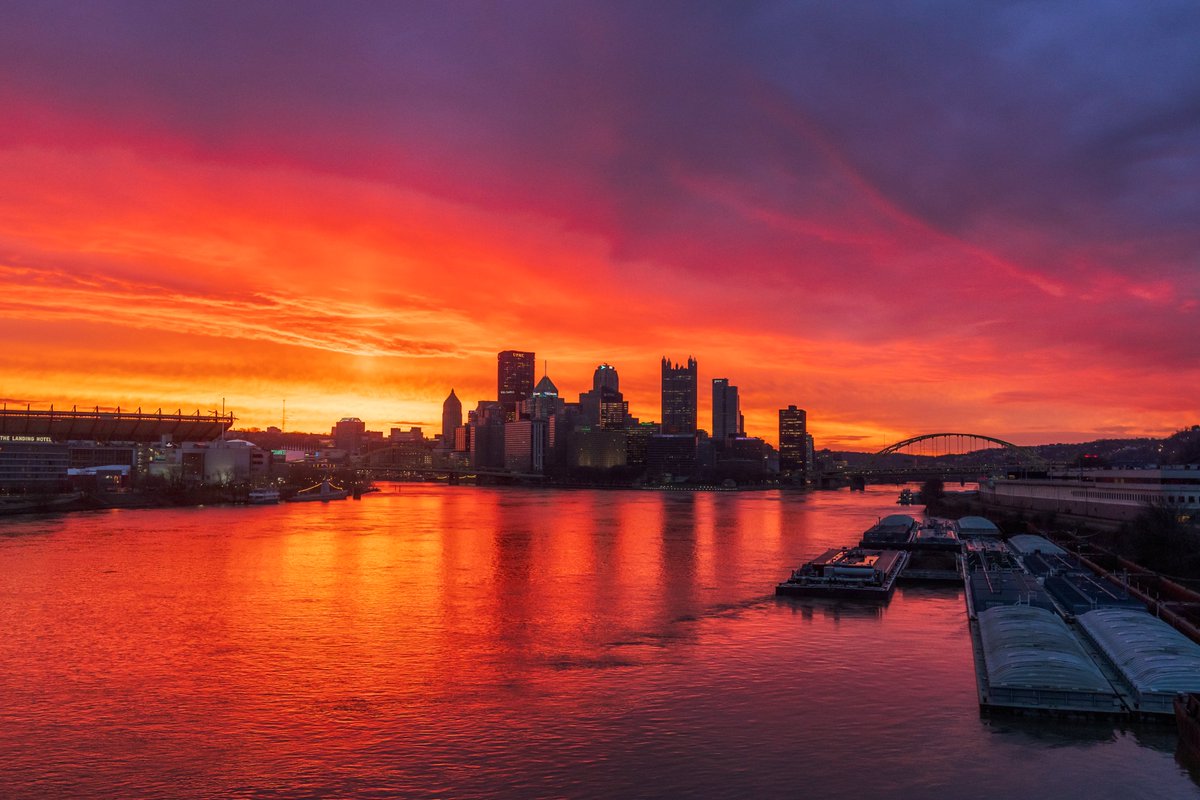 Dave DiCello tweet media