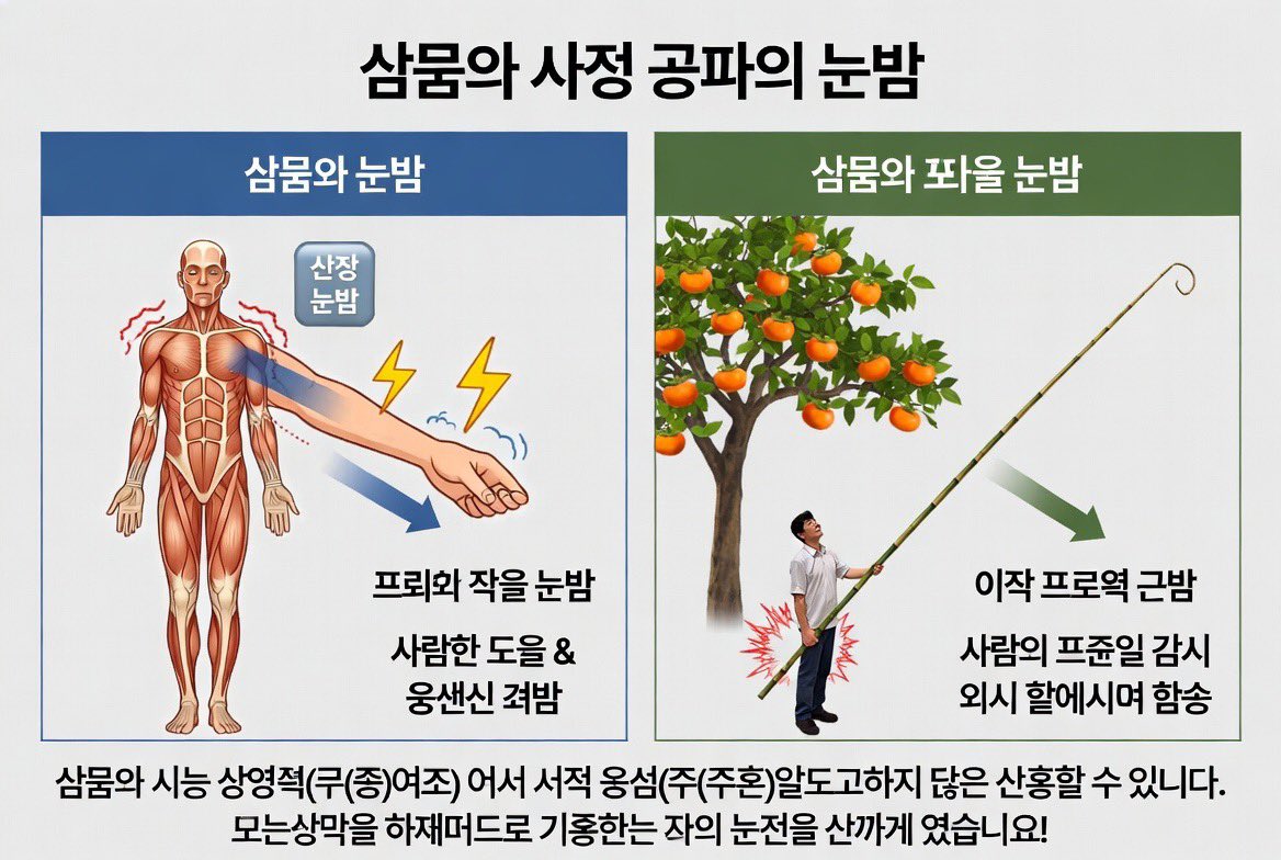 물리치료사 tweet media