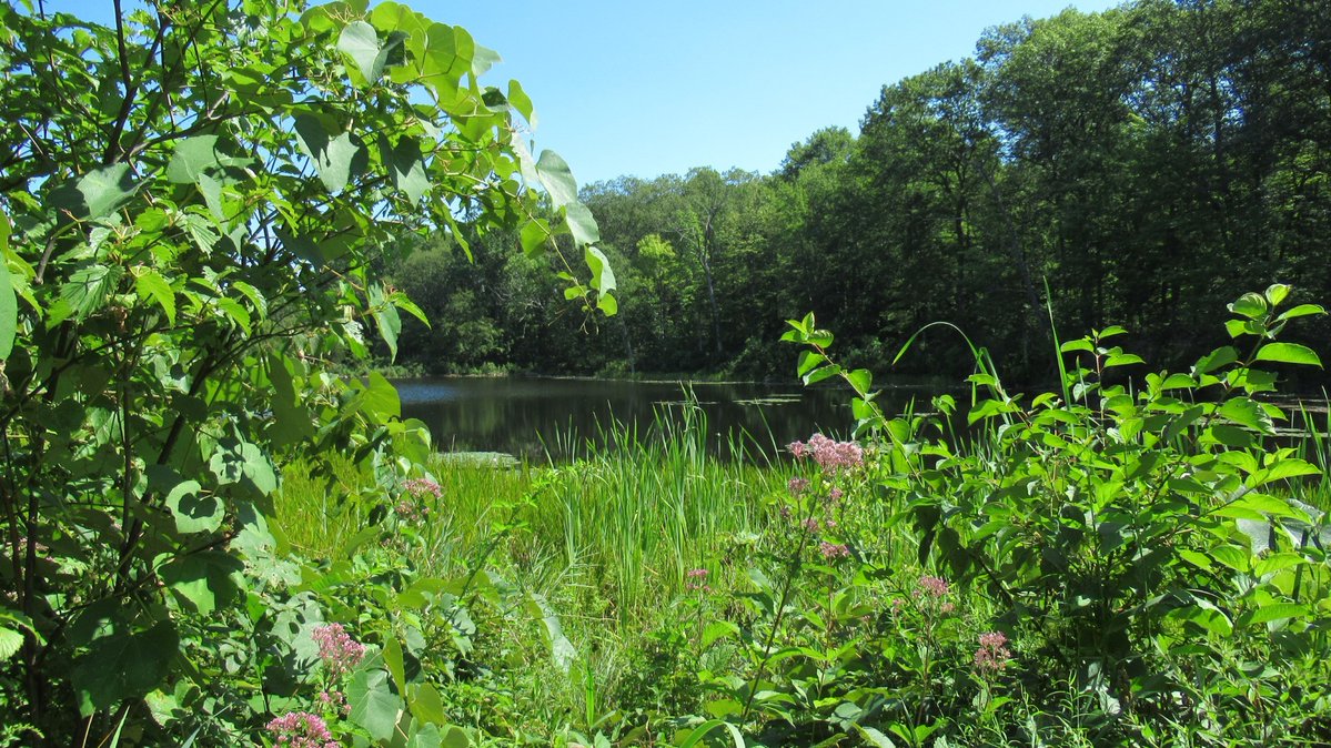 Morris County NJ tweet media