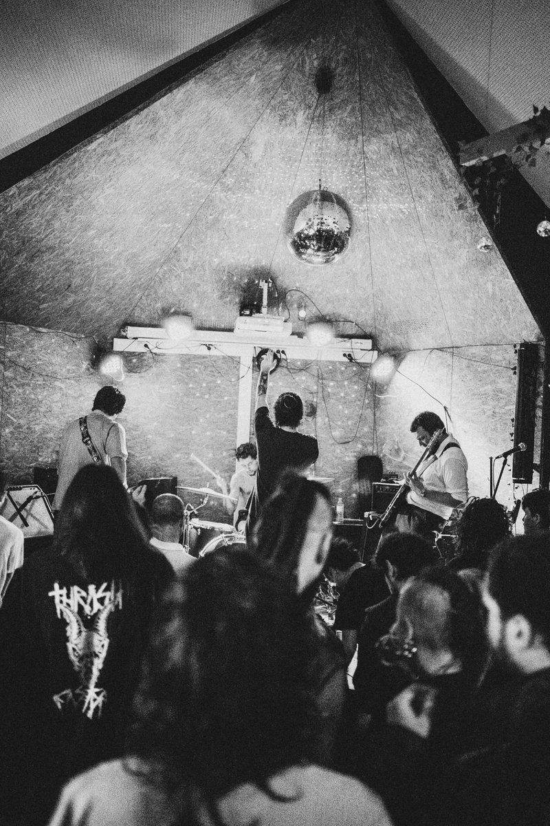 Playback tweet media