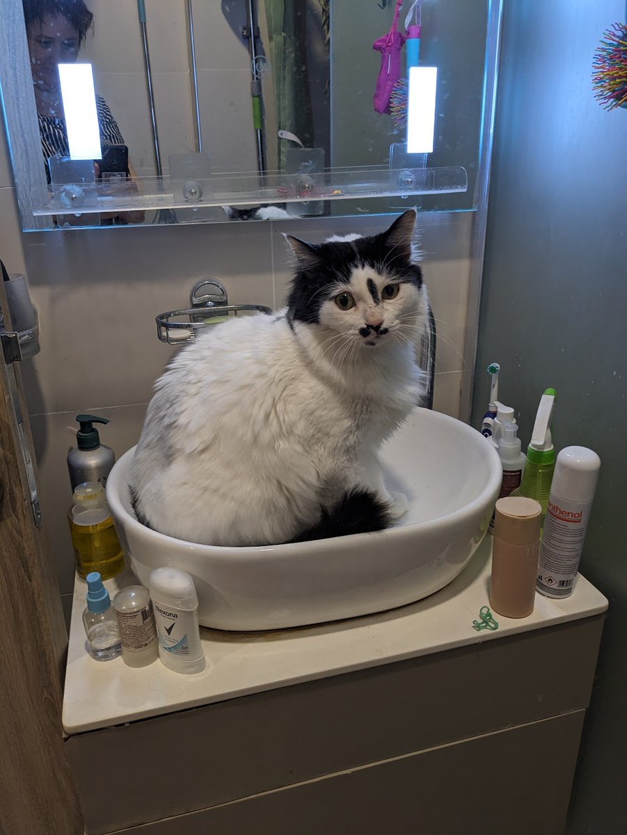 темнота меня не сдаст tweet media