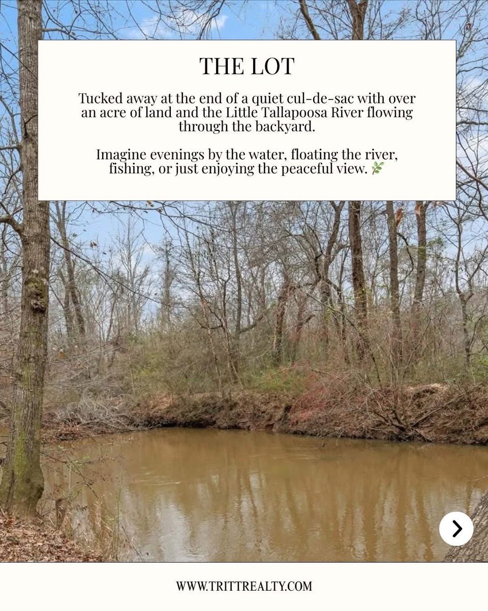 Tritt Realty tweet media