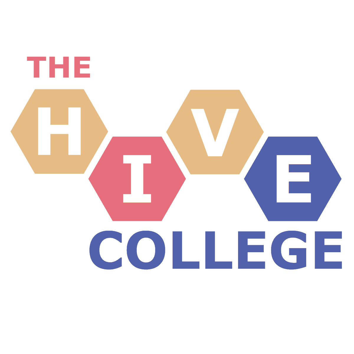 Hive College tweet media