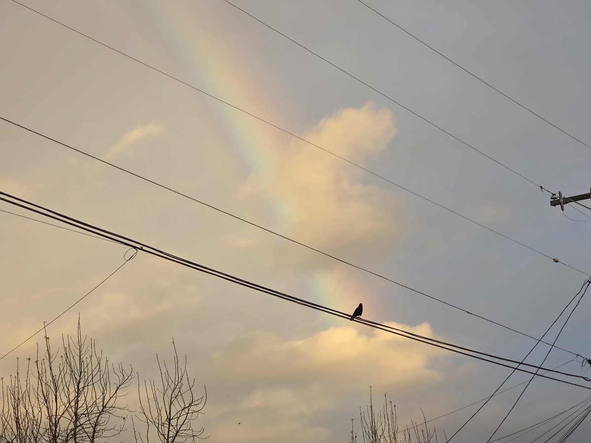 Gotitas De Sal tweet media