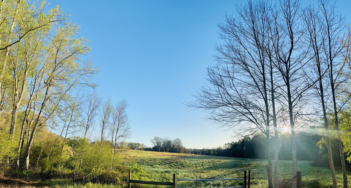 Nicholas Everhart tweet media