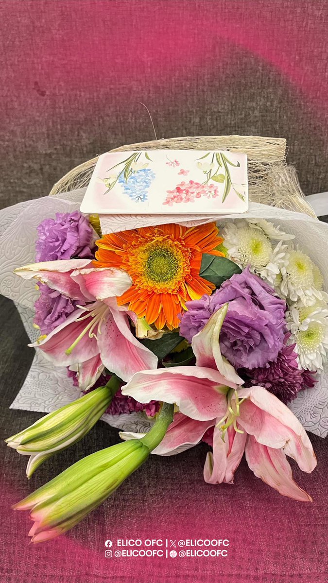 ELICO OFFICIAL tweet media