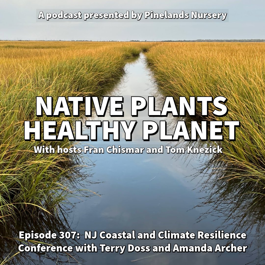 Pinelands Nursery tweet media