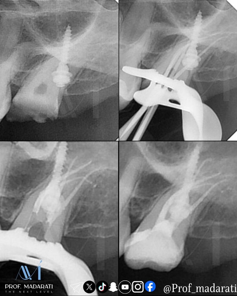 Prof Ahmad Madarati tweet media