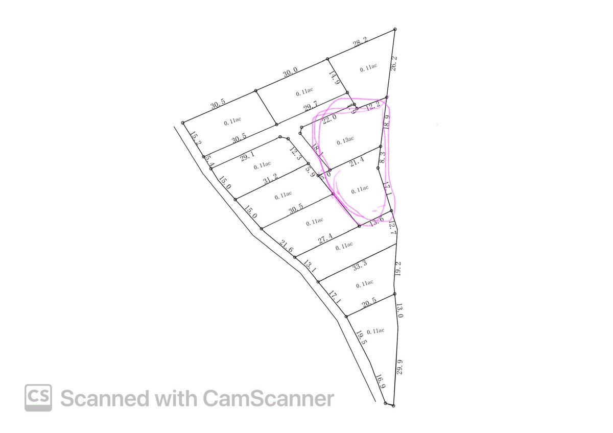 Ebelloemmapepe tweet media