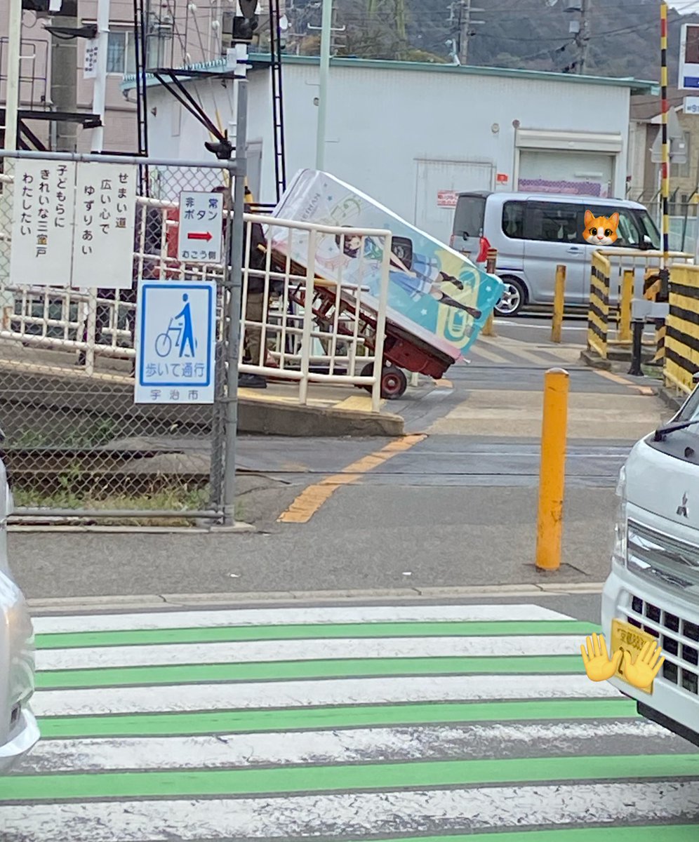 megumi🌼 tweet media