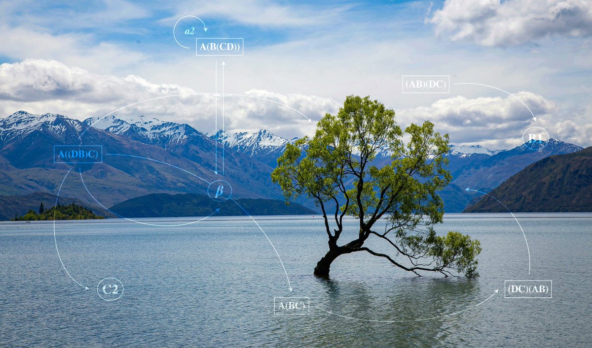 Manuela Casasoli tweet media