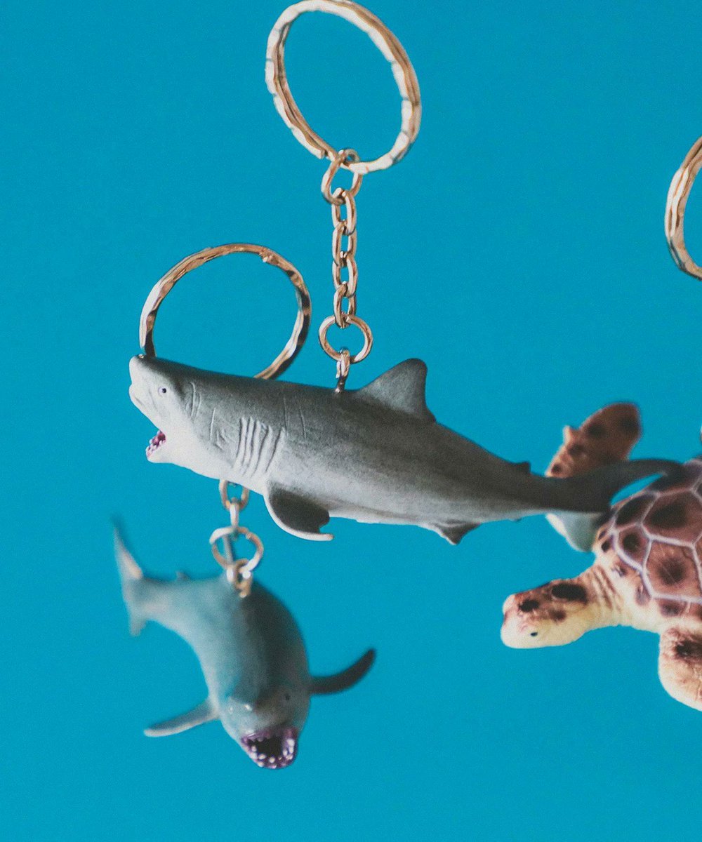 risa_rooming's tweet photo. BEAMS MENのキーリング🦖
大人に刺さるこのデザインGood
Science and Nature / Animal Keyring https://t.co/z9QWvqSdM8