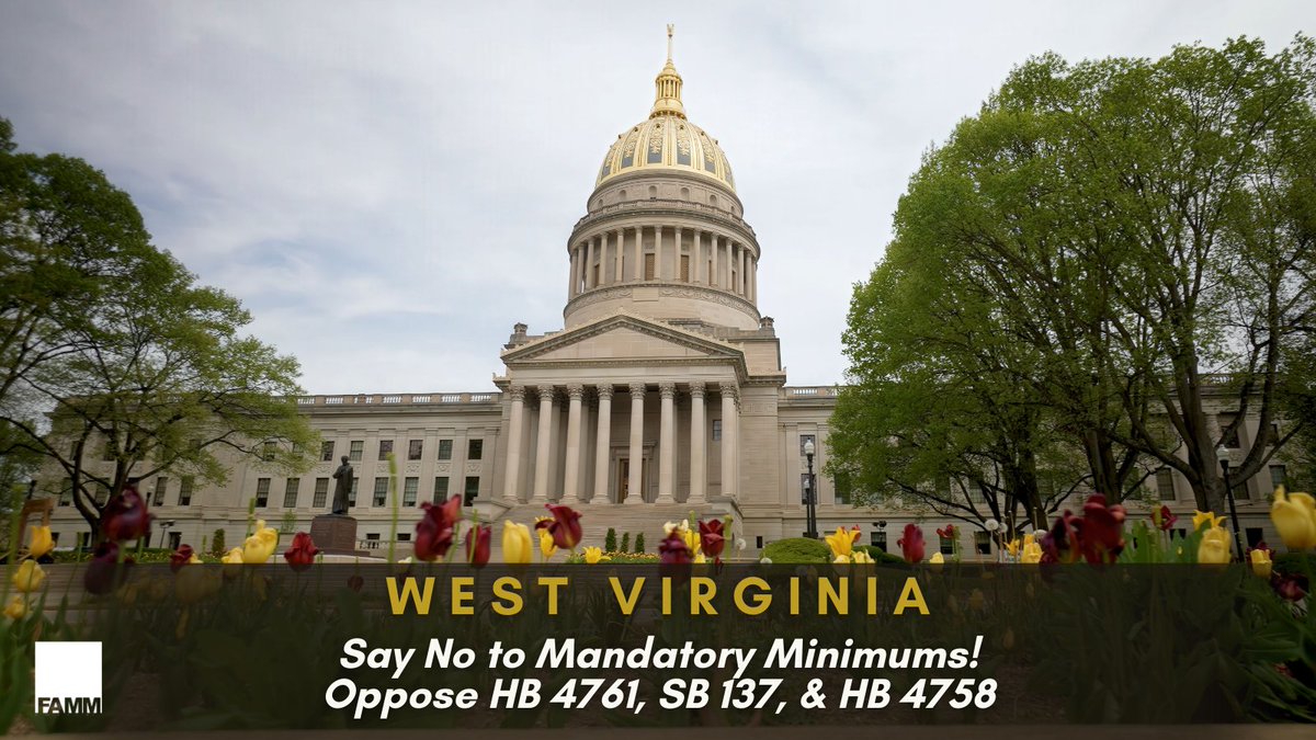 FAMM Foundation tweet media