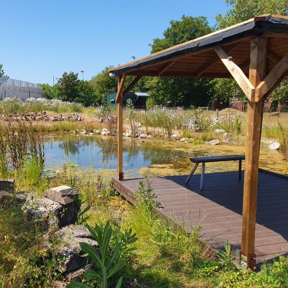 Stepney City Farm tweet media