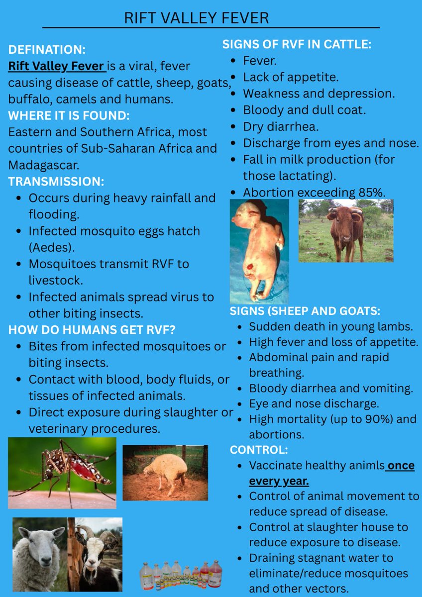 Kenya Veterinary Vaccines Production Institute tweet media
