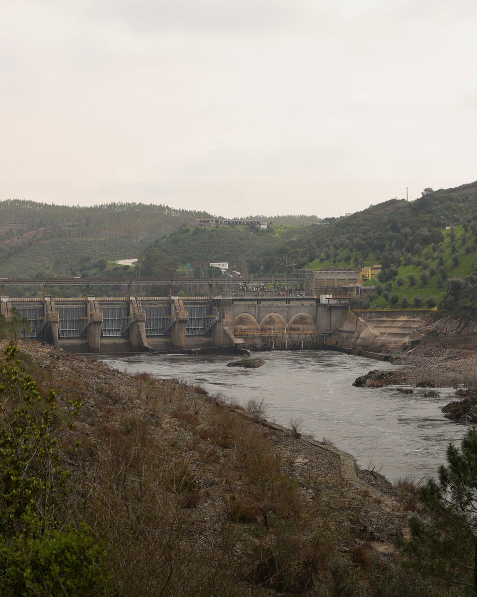 Infraestruturas de Portugal tweet media