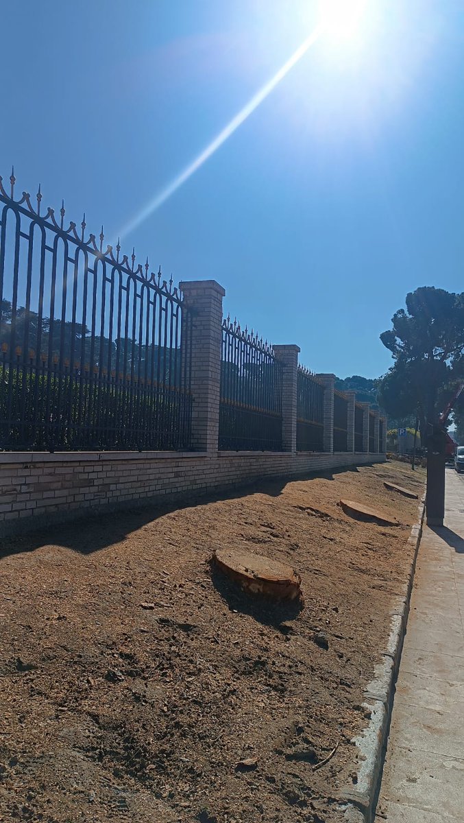 🌳Mesa del Arbol de Carabanchel tweet media