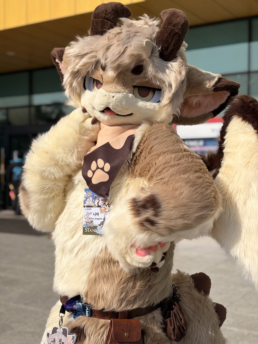 Nia(にあ) 🔜 FurstClass tweet media