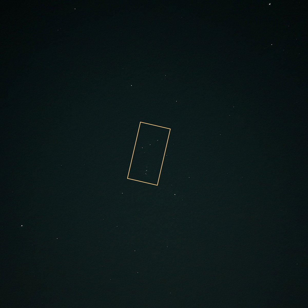 감별RuleOut tweet media