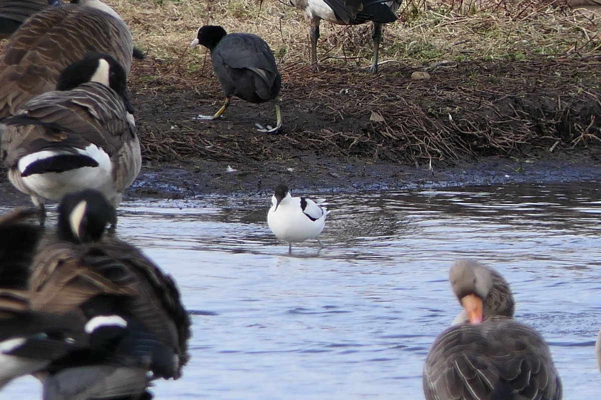 𝓡𝓮𝓿𝓭 𝓓𝓪𝓿𝓲𝓭 𝓐𝓽𝓴𝓲𝓷𝓼𝓸𝓷 tweet media