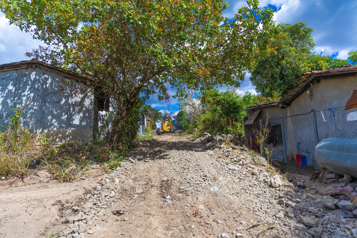 PARTIDO GANA tweet media