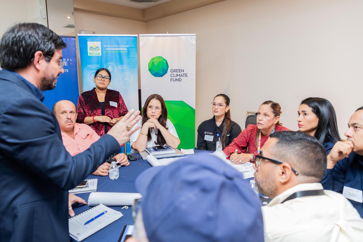 FAOMesoamerica's tweet photo. @UlisesGzalez @FAO @MiAmbientePma El diálogo permitió identificar oportunidades de articulación entre sector público, privado y financiero para impulsar inversiones que fortalezcan la adaptación al cambio climático en el corredor seco. Así avanza el proyecto

🌳#AzueroVerde 🤝#Manodelamano https://t.co/i4kmhxolNr