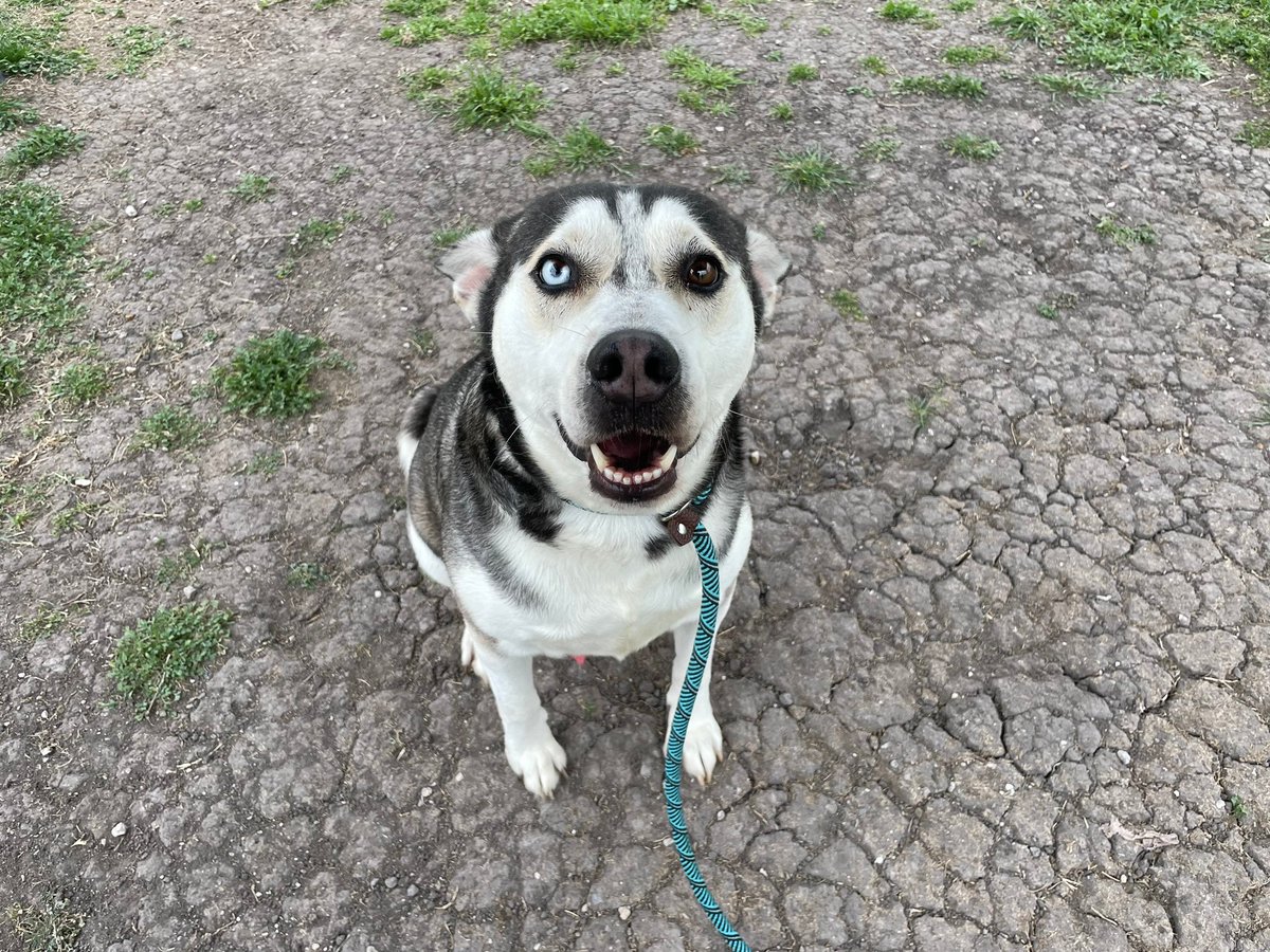 Lisa Brabson. tweet media