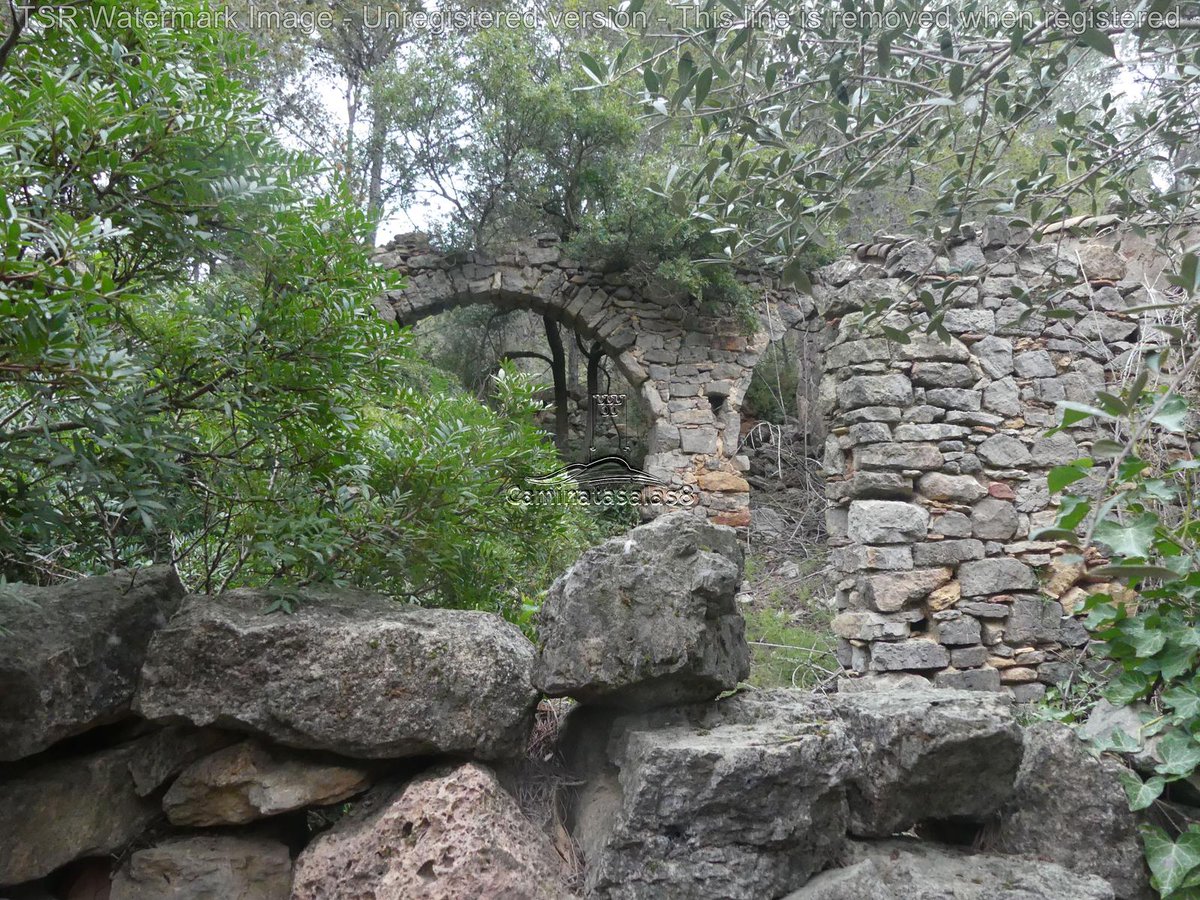 JJCarrasco 🍀 👣 tweet media