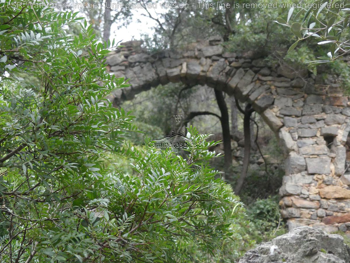 JJCarrasco 🍀 👣 tweet media