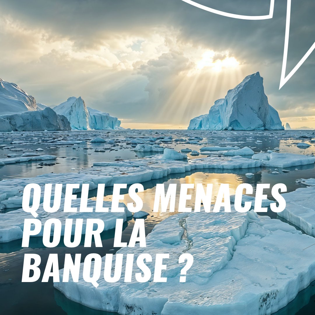 Vendée Globe tweet media