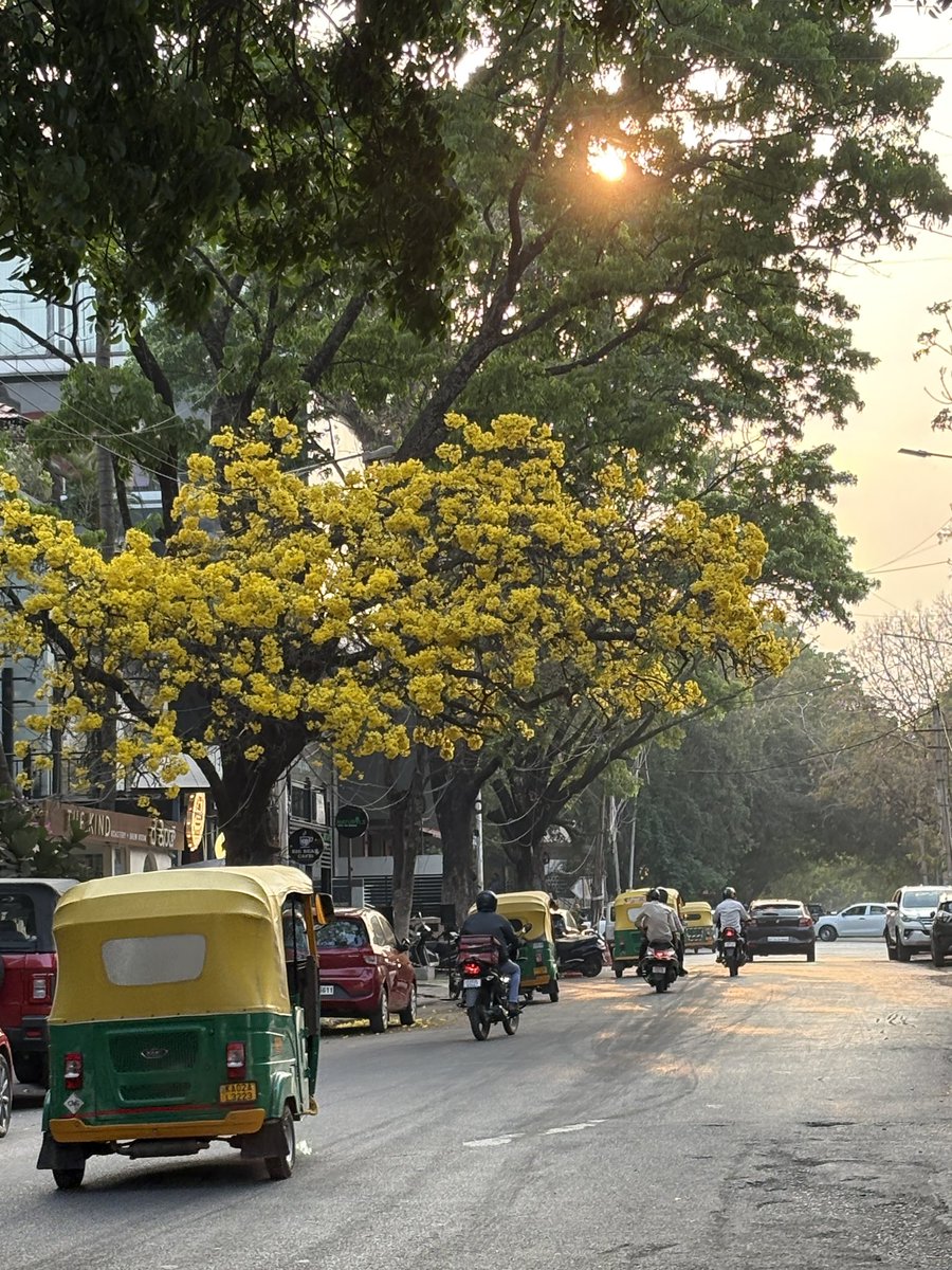 Dravisha tweet media