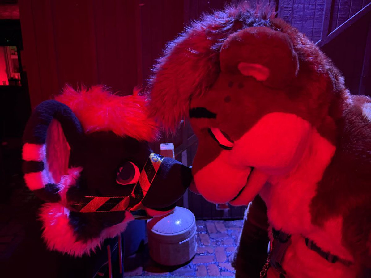 Theo 🔜 FWA tweet media