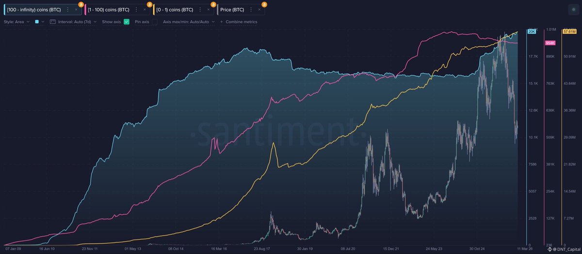 GoCrypto88's tweet photo. The number of whale wallets holding more than 100 BTC has surged to a record high: 20,031 wallets in the past few days!
A silent flow of BTC is accumulating and withdrawing from exchanges, starting a "supply lock" effect.

What do you think about this? https://t.co/uoASc4vYOo