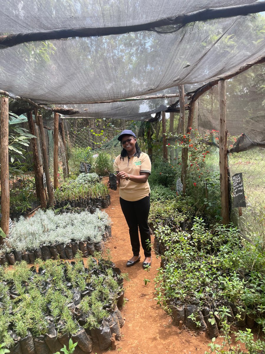 Development Canada tweet media