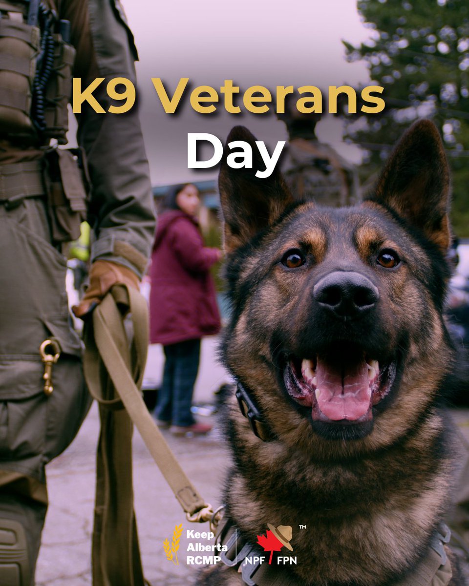 Keep Alberta RCMP tweet media