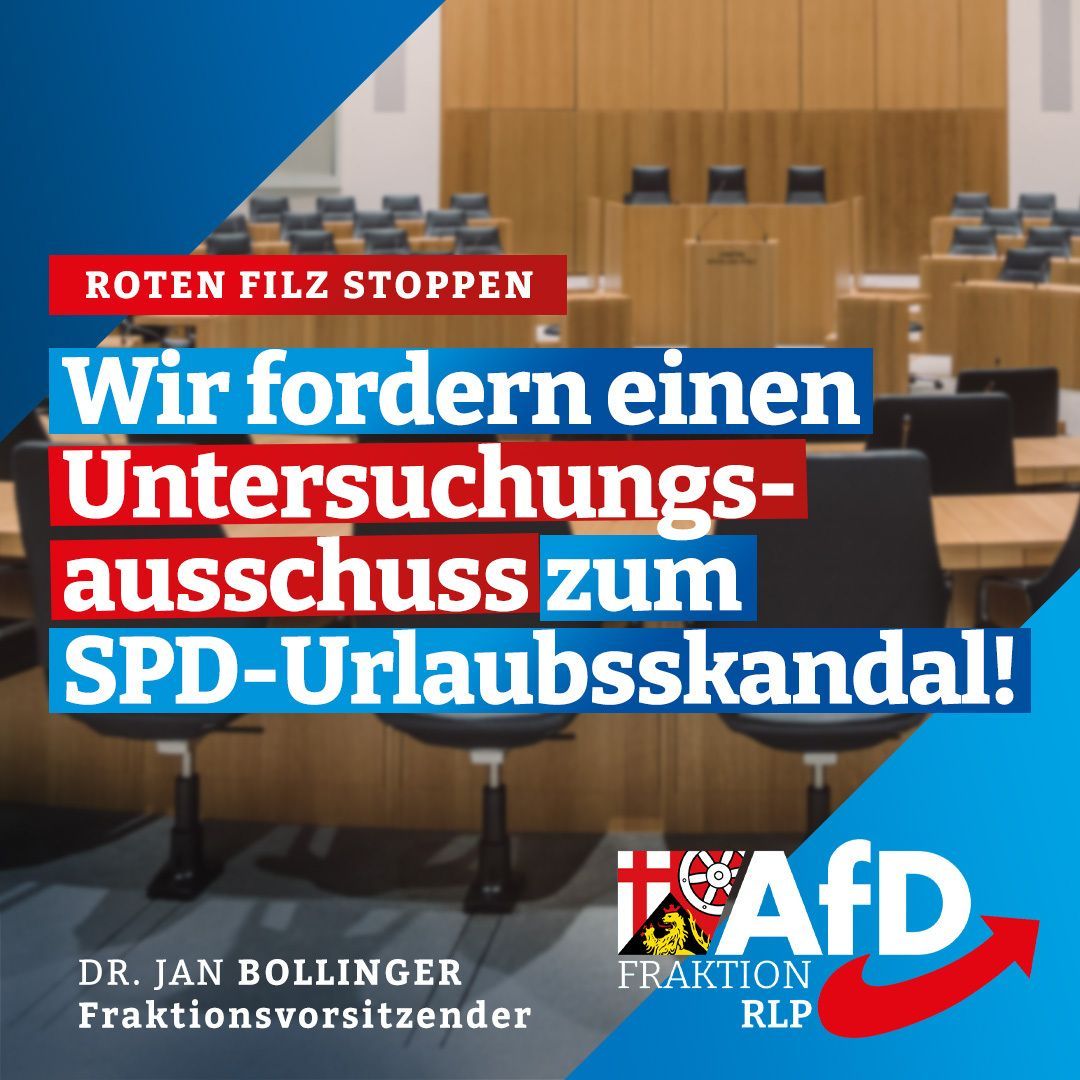 AfD-Fraktion im Landtag RLP tweet media