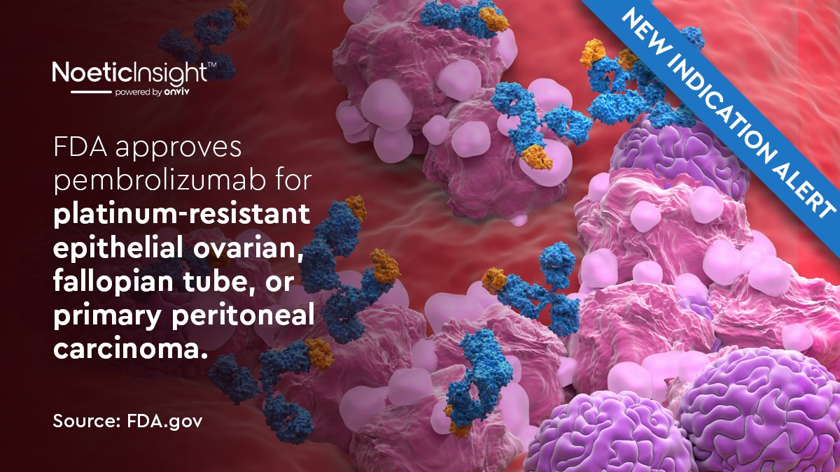 NoeticInsight tweet media