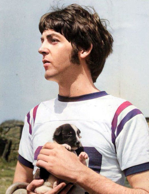 The Beatles Earth tweet media