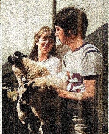 The Beatles Earth tweet media