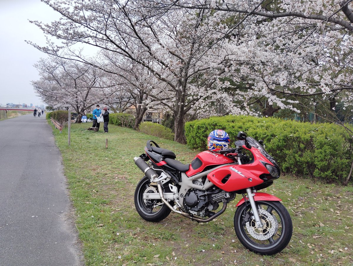 マー君 tweet media